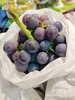采摘园蜜汁葡萄一斤 商品缩略图0