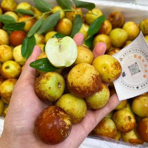 牛奶冬枣 又脆又甜 商品图4