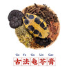 古法手工龟苓膏260g（原味） 商品缩略图1