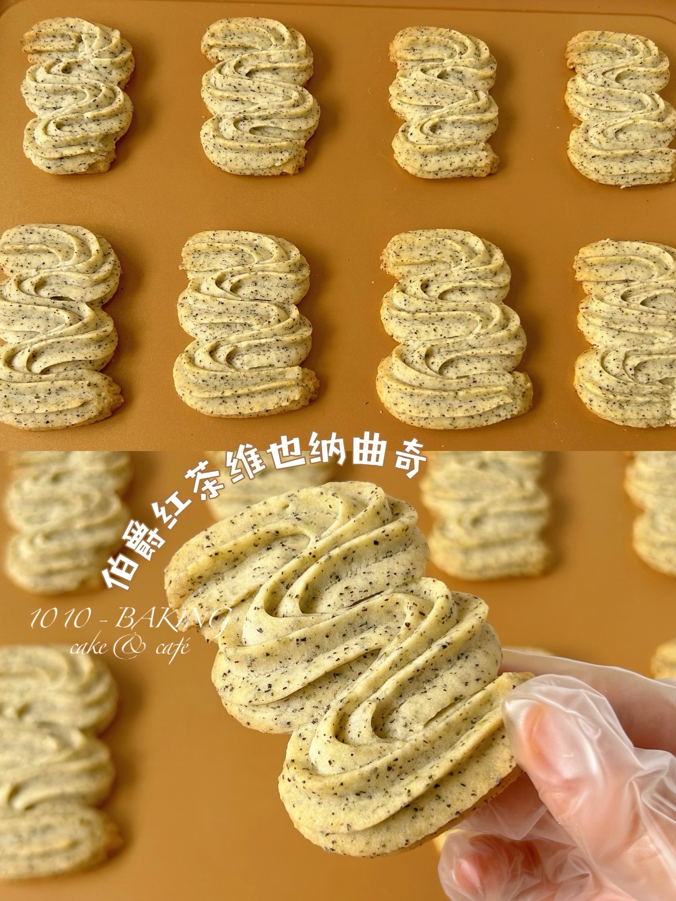 【伯爵 维也纳曲奇】Earl Grey Tea Vienna Cookies / 110g/罐