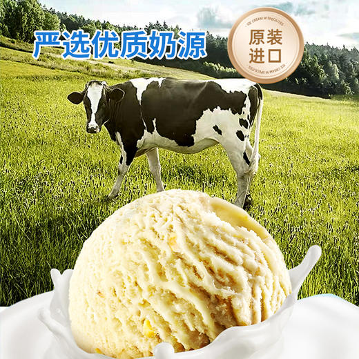 蜂雪颂芒果雪泥1.76kg/盒（比利时） 商品图3