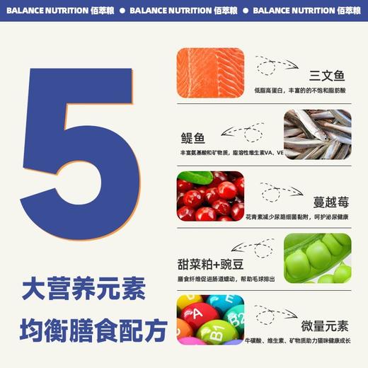 麦富迪佰萃幼猫成猫粮2kg/8kg/10kg全猫种适用高性价比 商品图2