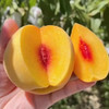 水果优选-建宁锦绣黄桃，一年仅售20天的爆款水果！ 商品缩略图4