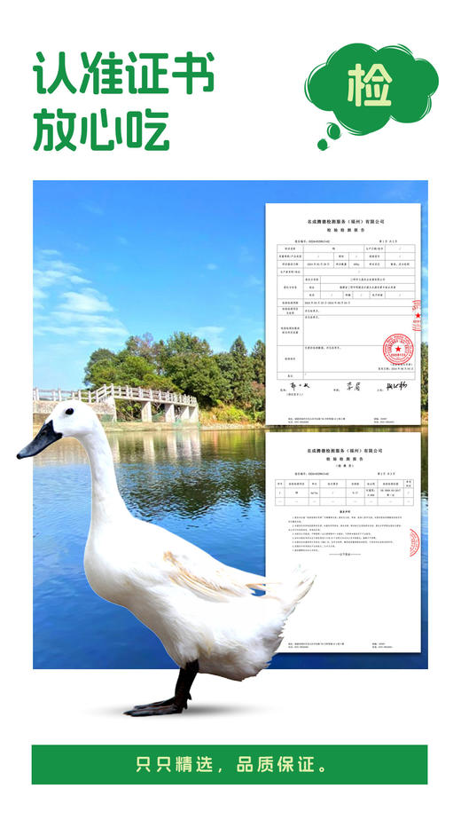 汤丞御品540天白鹜鸭 商品图5