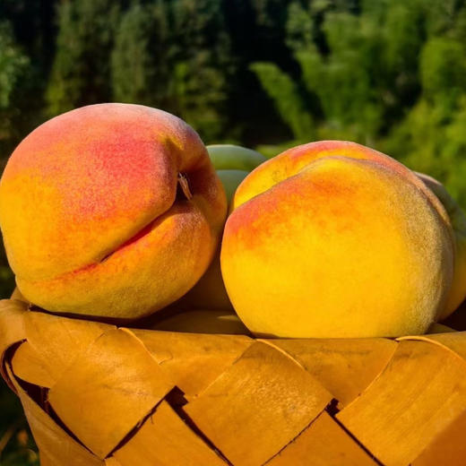 水果优选-建宁锦绣黄桃，一年仅售20天的爆款水果！ 商品图1