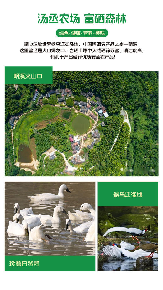 汤丞御品540天白鹜鸭 商品图1