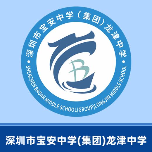 深圳市宝安中学（集团）龙津中学校徽（校徽以实物为准，免费印烫）【预售：20天左右】 商品图0