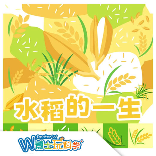 W博士玩科学 |【研学课程-水稻的一生】 商品图0