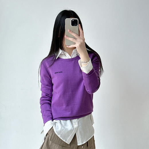 新款女装紫色圆领长袖针织衫休闲百搭上衣女 商品图1