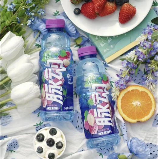 脉动维生素饮料玫瑰葡萄口味600毫升 商品图0