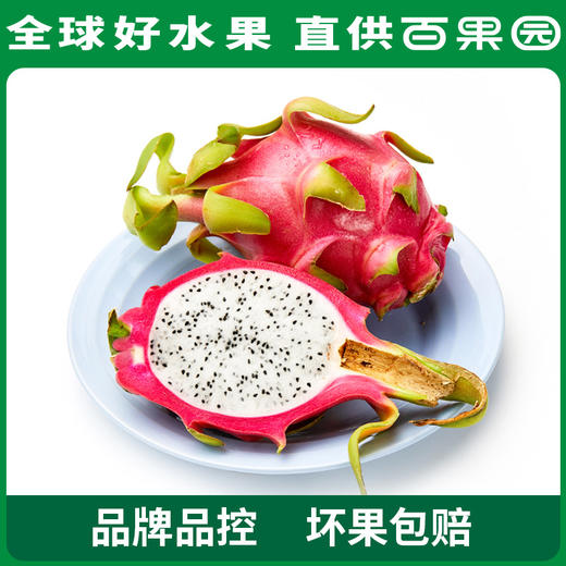 百果园PAGODA A级-进口银火龙果（大）5斤彩箱装 商品图2