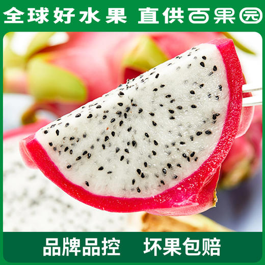 百果园PAGODA A级-进口银火龙果（大）5斤彩箱装 商品图1