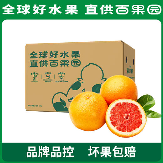 百果园PAGODA A级-西柚（中）6粒家庭装 商品图5