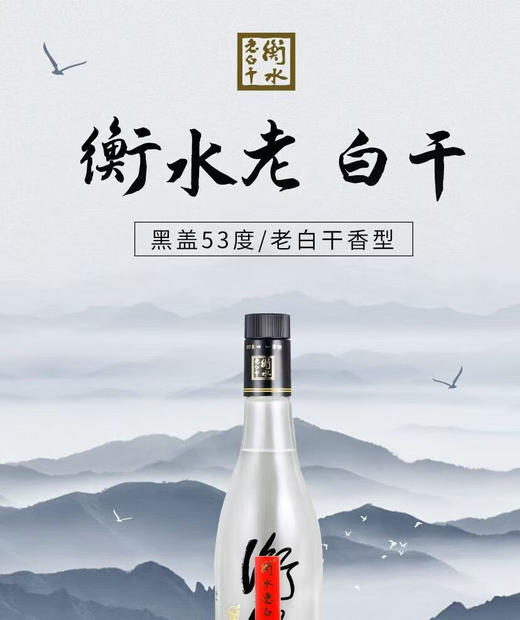 53°衡水老白干(黑盖)500ml 商品图5