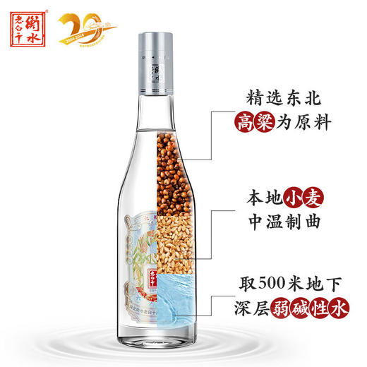 38°衡水老白干银盖六瓣 500ml 商品图4
