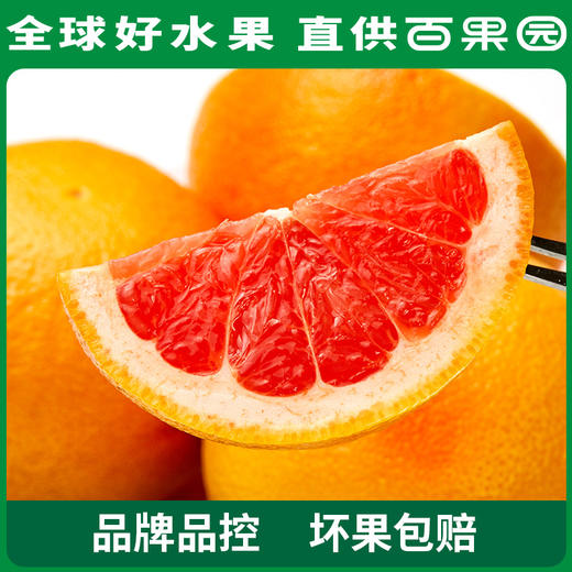 百果园PAGODA A级-西柚（中）6粒家庭装 商品图1