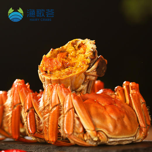 渔歌荟阳澄湖大闸蟹 商品图2