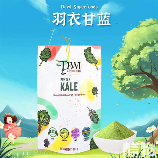 有机冻干羽衣甘蓝粉100g 商品图3