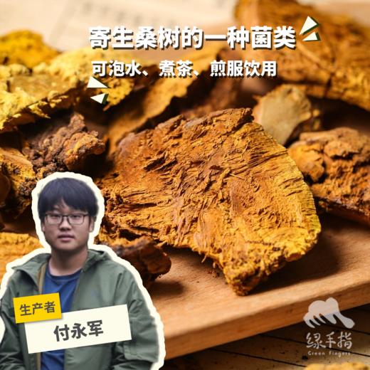 野生西藏桑黄 | 合作生产* Wild Sanghuang| Coproduction 商品图0