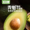 百果园PAGODA 招牌-青魁即食牛油果（中）8粒彩箱装 商品缩略图1