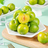 新鲜水果 酸甜可口青脆李  500g 商品缩略图1