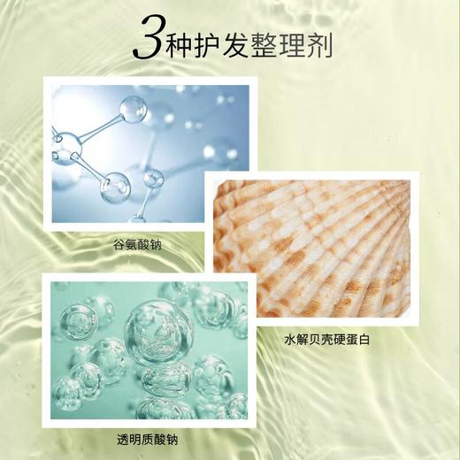 今井制妍头皮清洁系列护发素538ml/瓶 商品图4