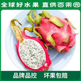 百果园PAGODA A级-进口银火龙果（大）5斤彩箱装