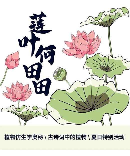 重庆自然资源科普馆丨莲叶何田田 商品图0