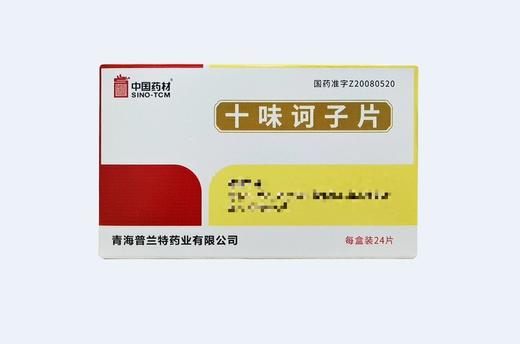 【中国药材】十味诃子片 0.5g*24片/盒 商品图0