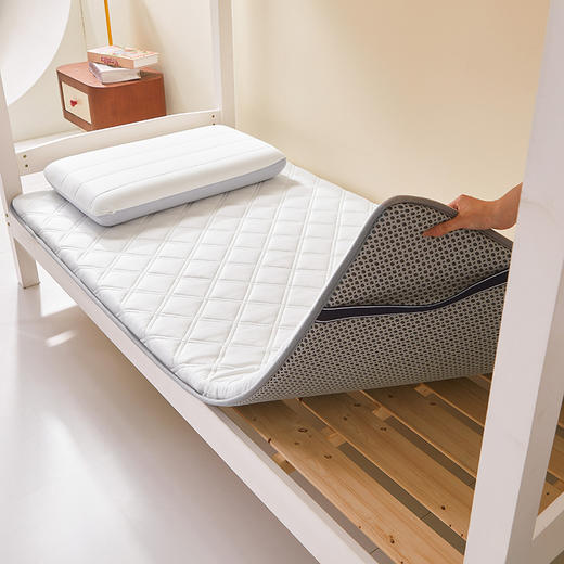 自然醒提花乳胶记忆棉学生床垫可折叠床褥垫睡觉打地铺租房专用家用垫背褥子LN 商品图8