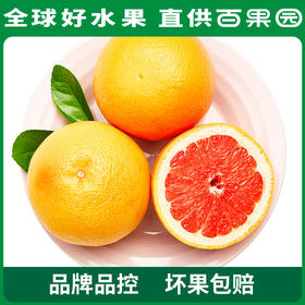 百果园PAGODA A级-西柚（中）6粒家庭装