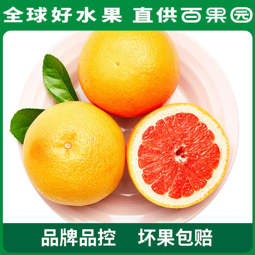 百果园PAGODA A级-西柚（中）6粒家庭装 商品图0