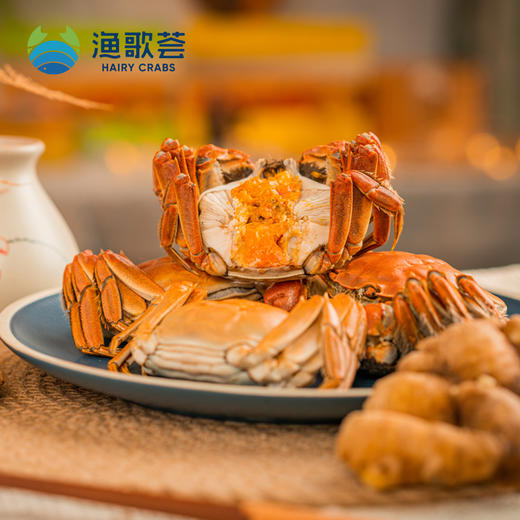 渔歌荟阳澄湖大闸蟹 商品图1
