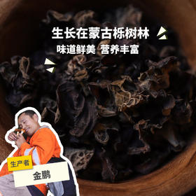 野生木耳 | 合作生产* Wild-Fungus | Coproducted