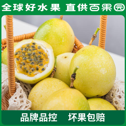 百果园PAGODA 招牌-百味百香果3斤彩箱装 商品图1