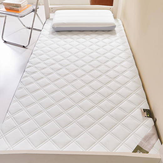 自然醒提花乳胶记忆棉学生床垫可折叠床褥垫睡觉打地铺租房专用家用垫背褥子LN 商品图4