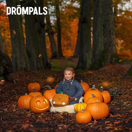 【DROMPALS】儿童书包 商品图5