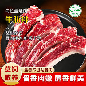 【清真】牛肋排1100g±80g 原料原产国-乌拉圭