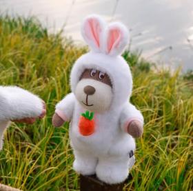 小熊汉斯萌萌兔黛丝--（站立白色）