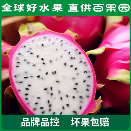 百果园PAGODA A级-进口银火龙果（大）5斤彩箱装 商品图3