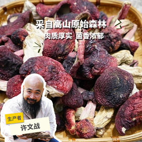 野生高山红菇（申通） | 合作生产 * Wild Red mushroom | Coproduction
