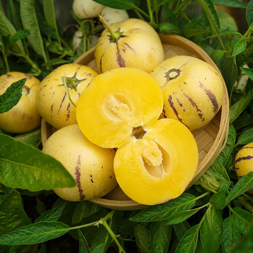 【云南石林树上熟人参果】糖水小炮弹 清甜多汁 肉质细腻 皮薄肉厚 入口爆汁 4种规格任选 商品图6