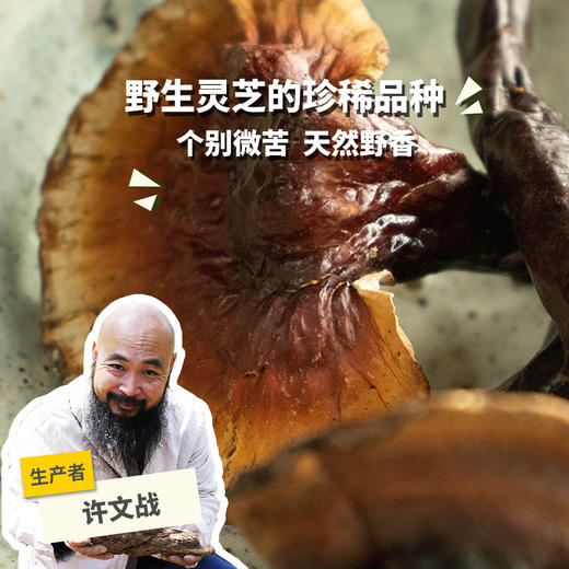 野生白心灵芝（申通）| 合作生产* Wild White heart Ganoderma lucidum | Coproducted 商品图0