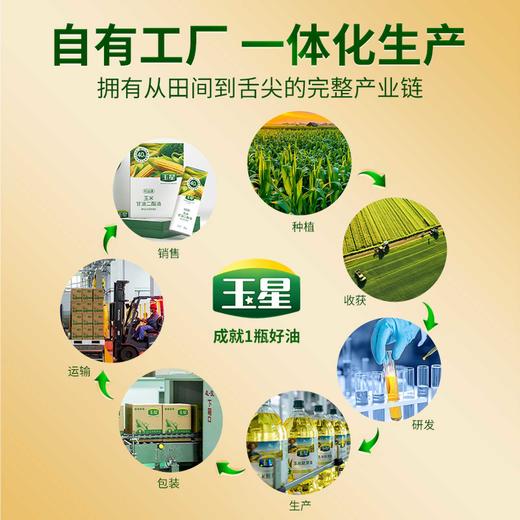 玉星40%甘油二酯食用油500ml建康减负玉米热炒油减脂40%甘油三酯 商品图3