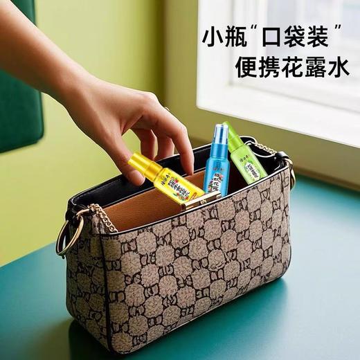 隆力奇花露水蛇胆牛黄去痱驱蚊止痒蚊不叮30ml一瓶 商品图2