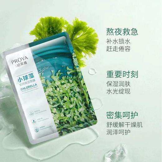 珀莱雅保湿面膜 单片 商品图6