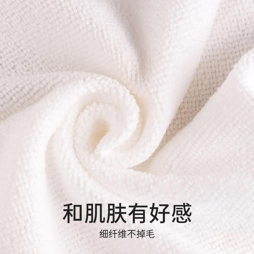 LEC激落君免洗剂抹布特惠装（5枚） 商品图4