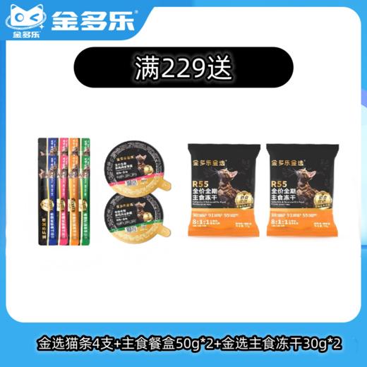 【赠品链接，单拍不发货】金选系列单笔实付满229赠品 商品图0