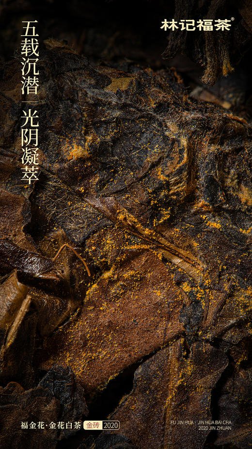 福金花·紧压金花白茶2020·金砖460g 商品图6