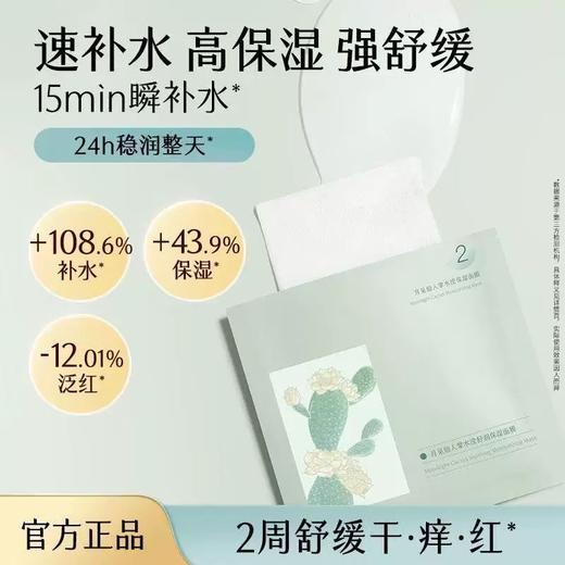 谷雨面膜 单片 商品图9